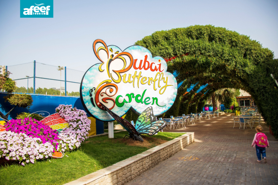Afeef Tourism - Dubai Butterfly Garden